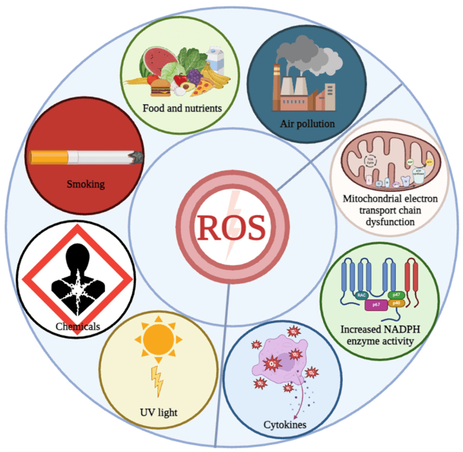 ROS causes